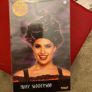 Mary Sanderson Costume Wig